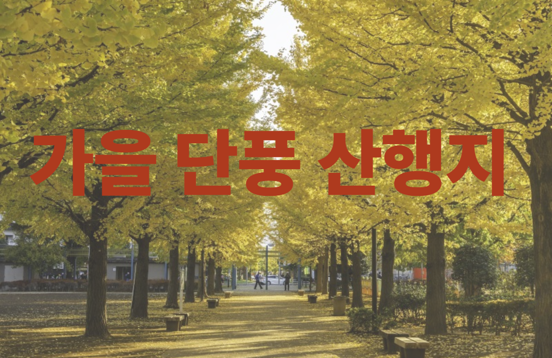 가을 단풍 산행지