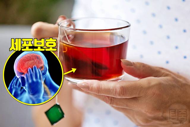 치매에 좋은 음식 치매예방음식 플라바놀 함량 높은 홍차