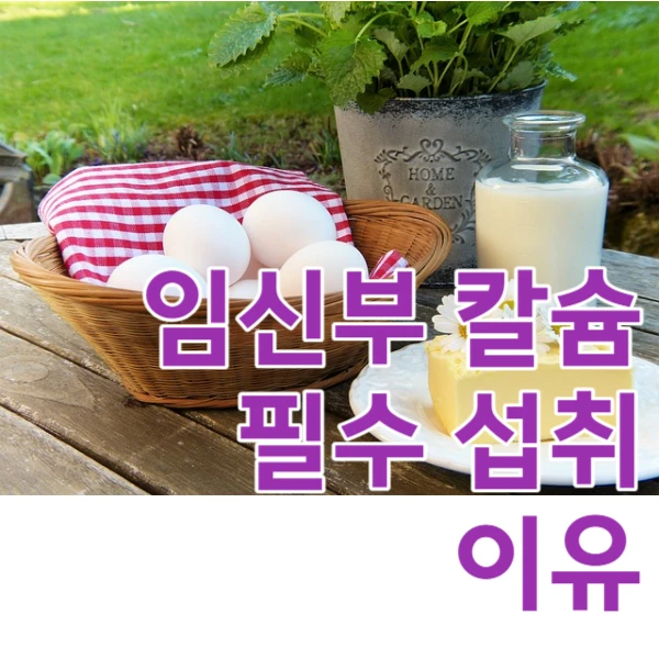 임신기에 칼슘은 왜 꼭 먹어야 하나요?