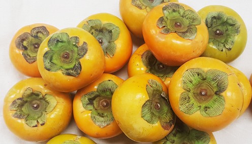 단감 효능 및 부작용 / 칼로리 / 고르는법 / 보관법