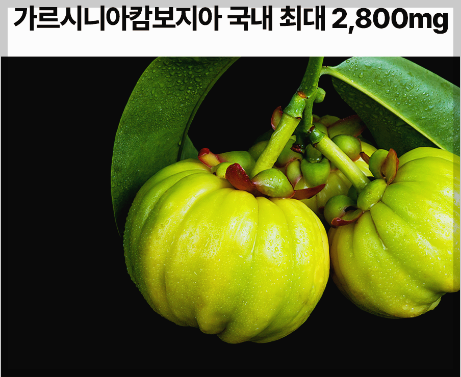 파란통 다이어트 후기 내돈내산 제대로 확인