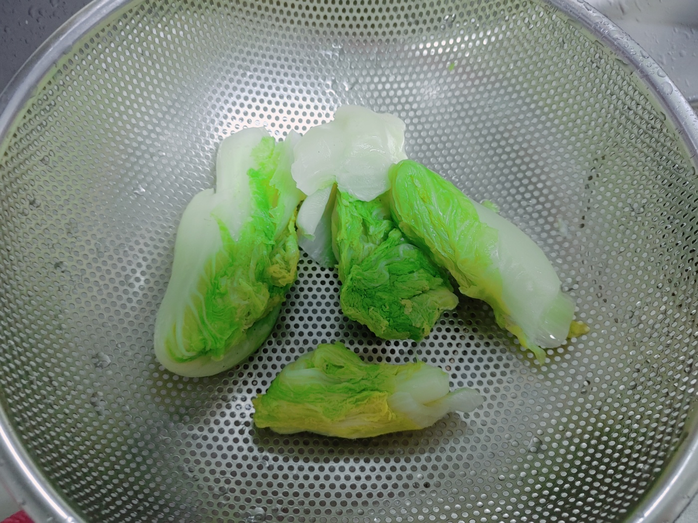 배추 물기짜기
