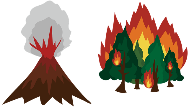 산불 일러스트