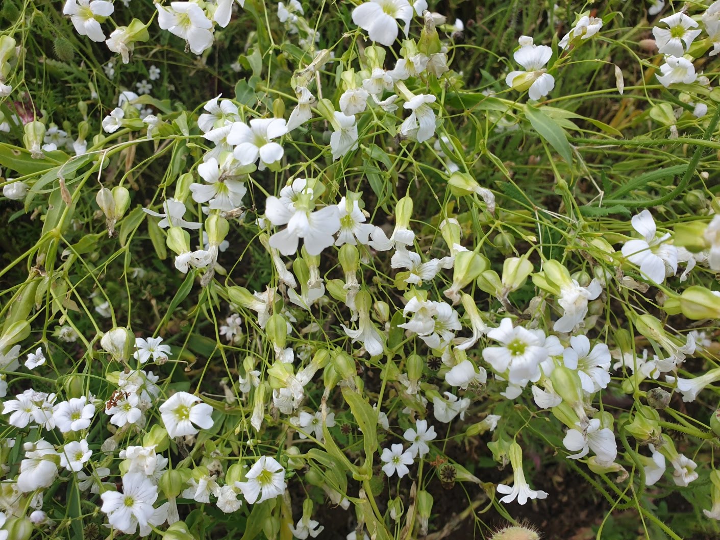 울산 가볼만한곳