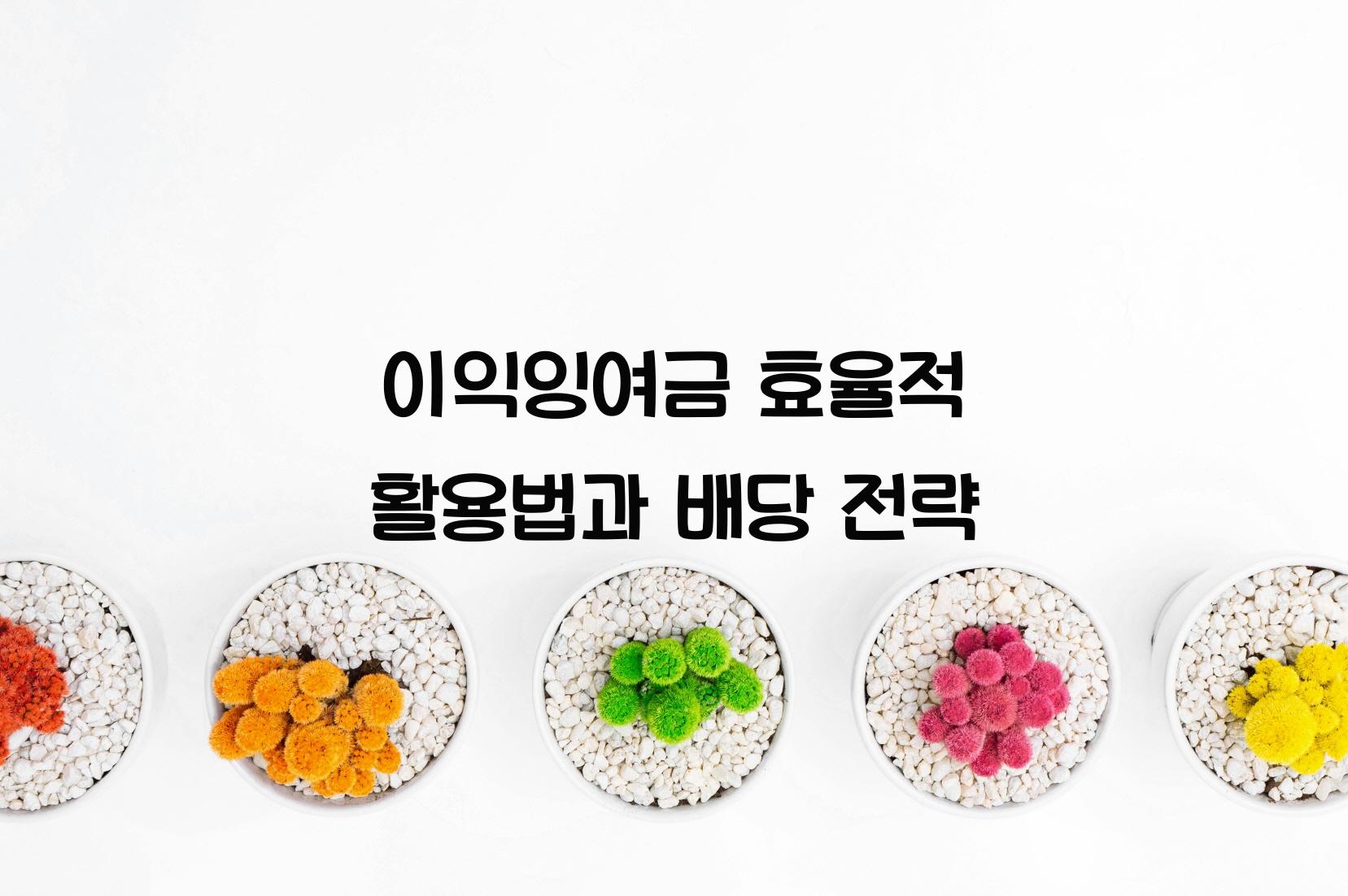 이익잉여금
