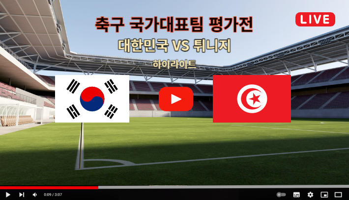 축구국가대표평가전
