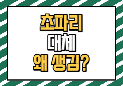 초파리 생기는 이유 3가지만 막아도 여름에 쾌적합니다.