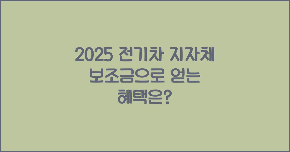 2025 전기차 지자체 보조금