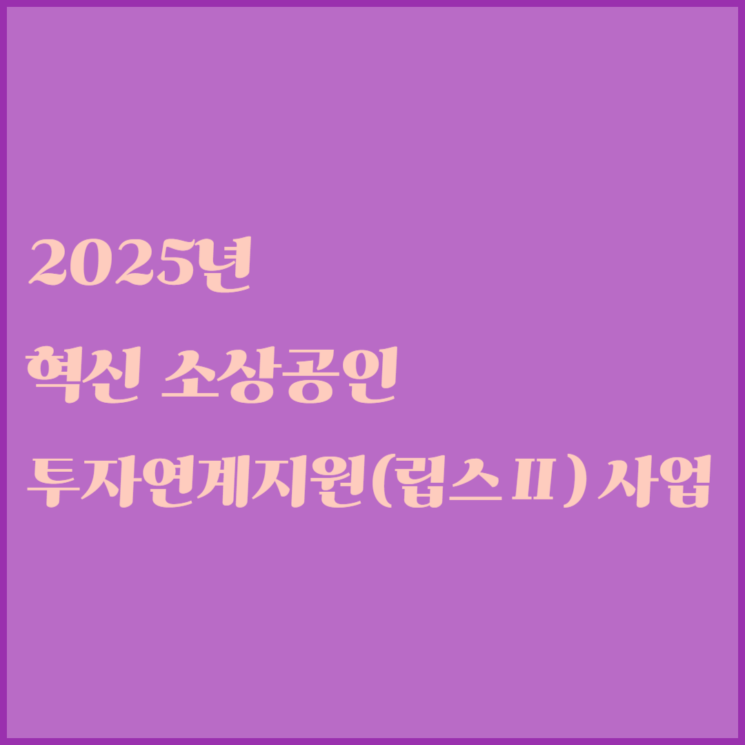 2025년 혁신 소상공인 투자연계지원(립스Ⅱ) 사업
