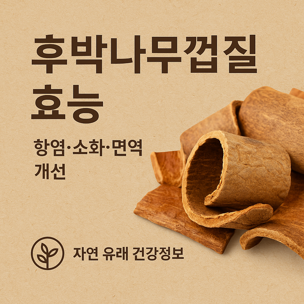 후박나무껍질 효능