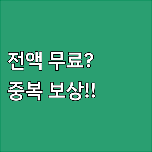 2025 대전 시민안전보험 보험료 전..