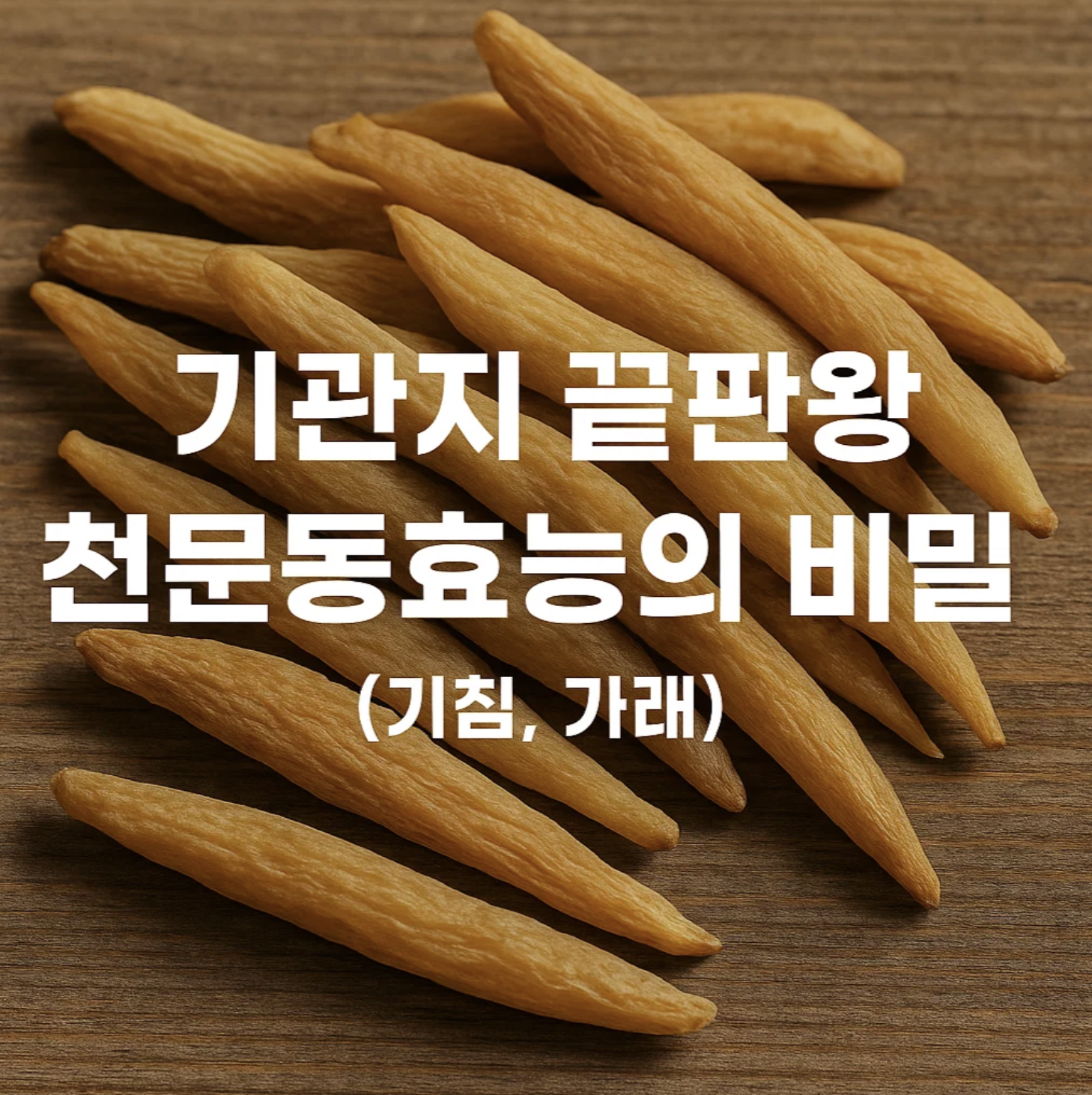 기관지 끝판왕, 천문동효능의 비밀 (기침, 가래)