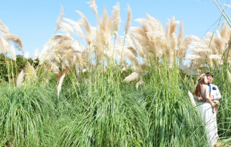 태안 청산수목원