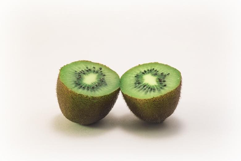 강아지 과일