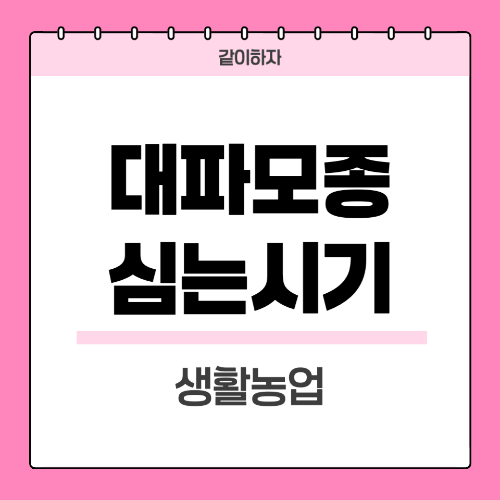대파모종심는시기