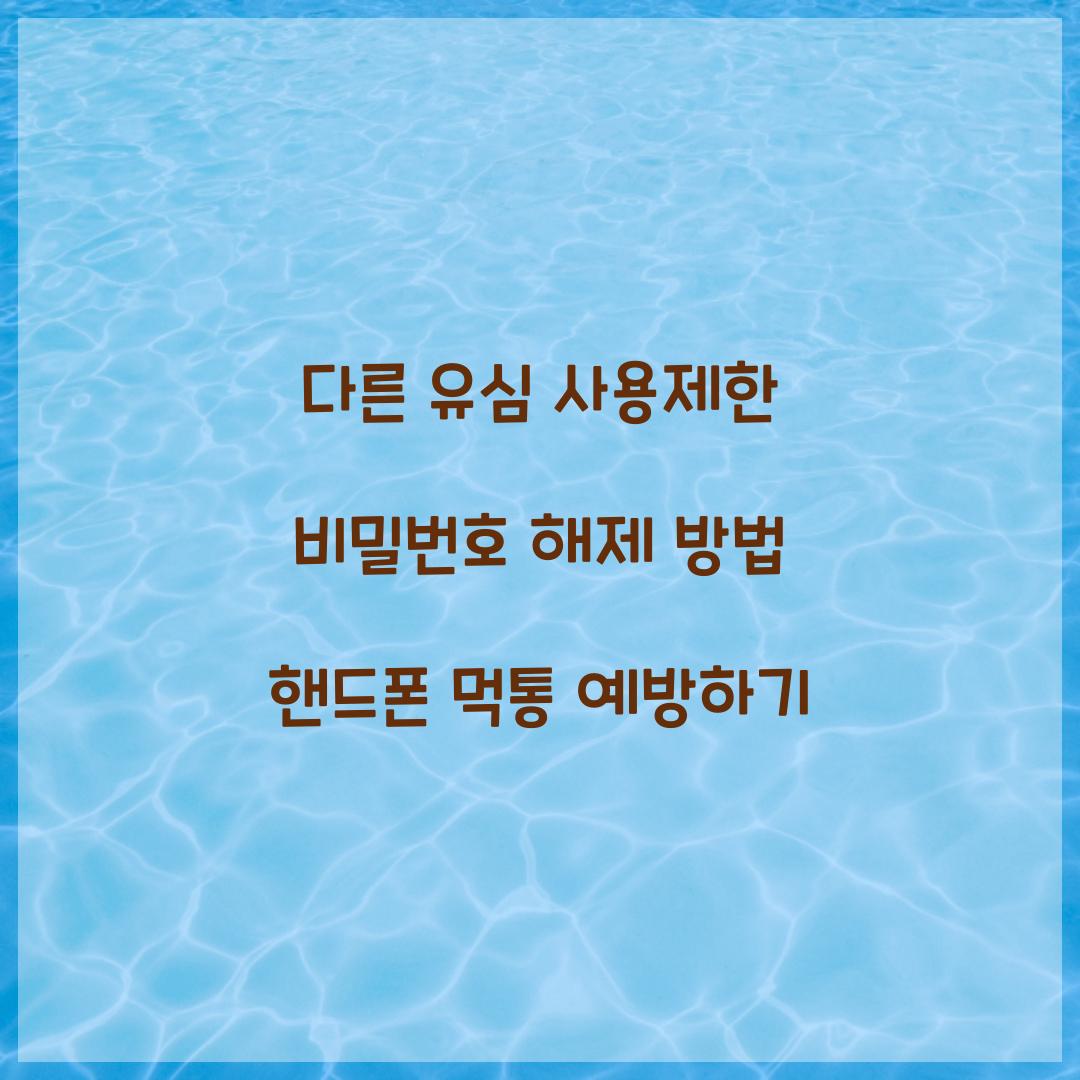 다른 유심 사용제한 비밀번호