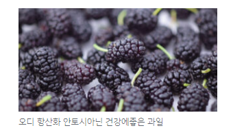 오디 및 와인등 안토시아닌
