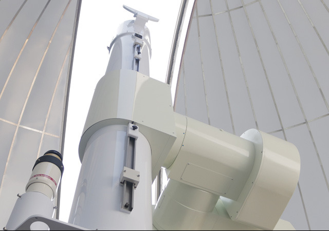 2025 증평인삼골축제&amp;#44;인삼 체험 축제