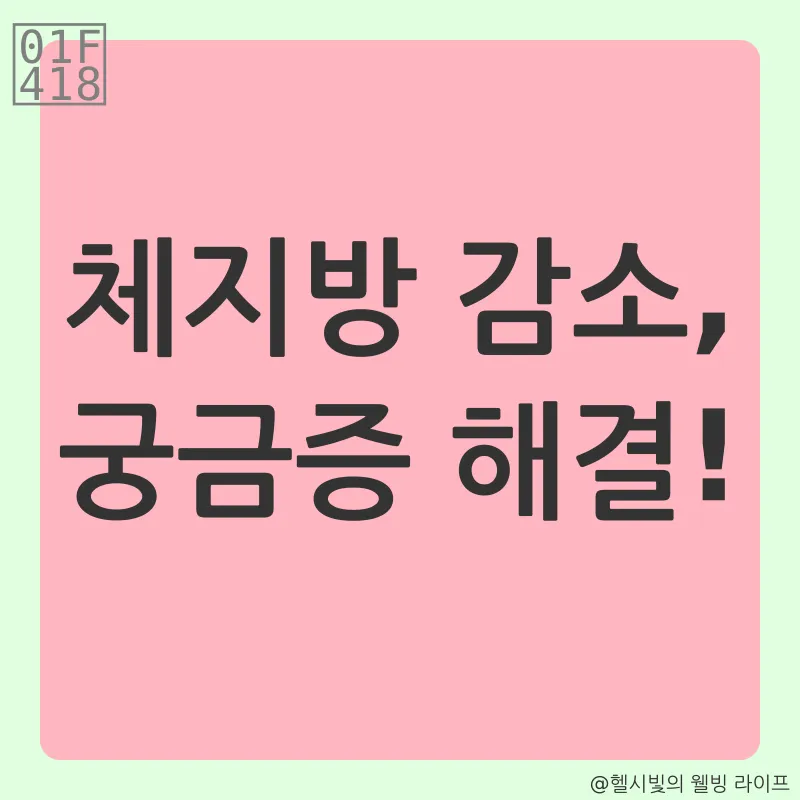 체지방 감소_4