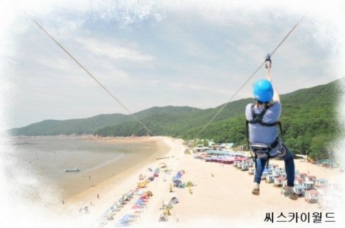 믿고 떠나는 스타의 고향 가수 김혜연의 고향 인천 무의도 하나개해수욕장 짚라인 체험