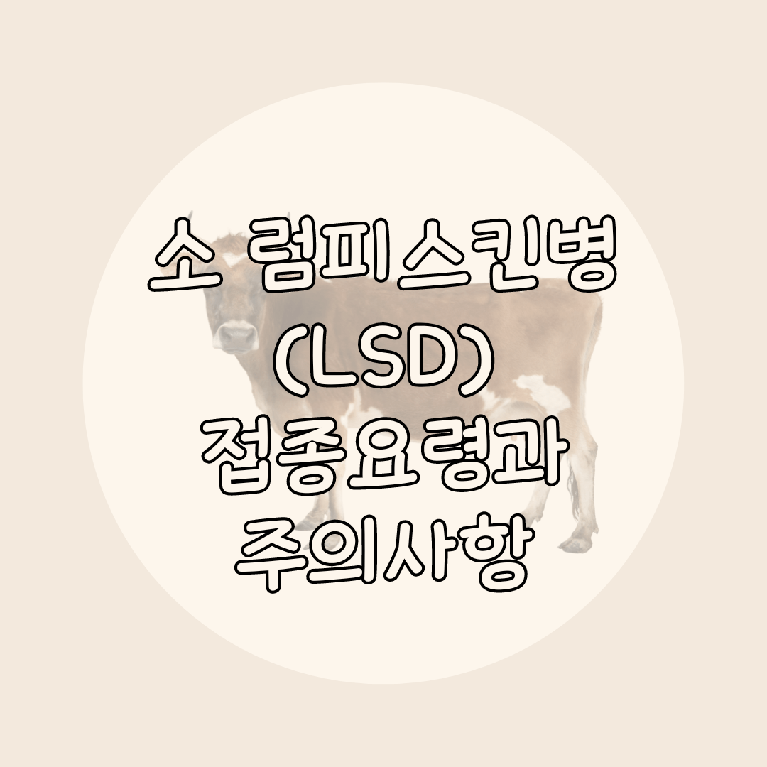 소 럼피스킨병 (LSD) 접종요령
