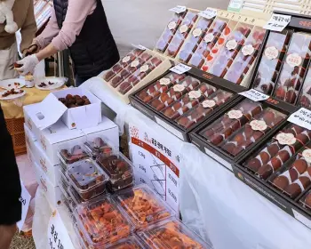 양촌 곶감축제_13