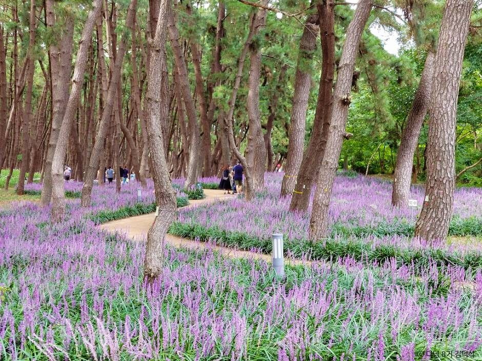 서천 가볼만한곳 베스트10