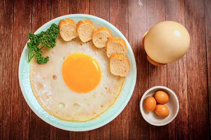 투데이 맛있는 메뉴 세계심장재단 환자회복식 추천 간호사가 연구 개발한 타조 사골 곰탕, 타조 불고기 덮밥, 타조 육회 비빔밥 맛있는 식당 추천 부산 서구 맛집