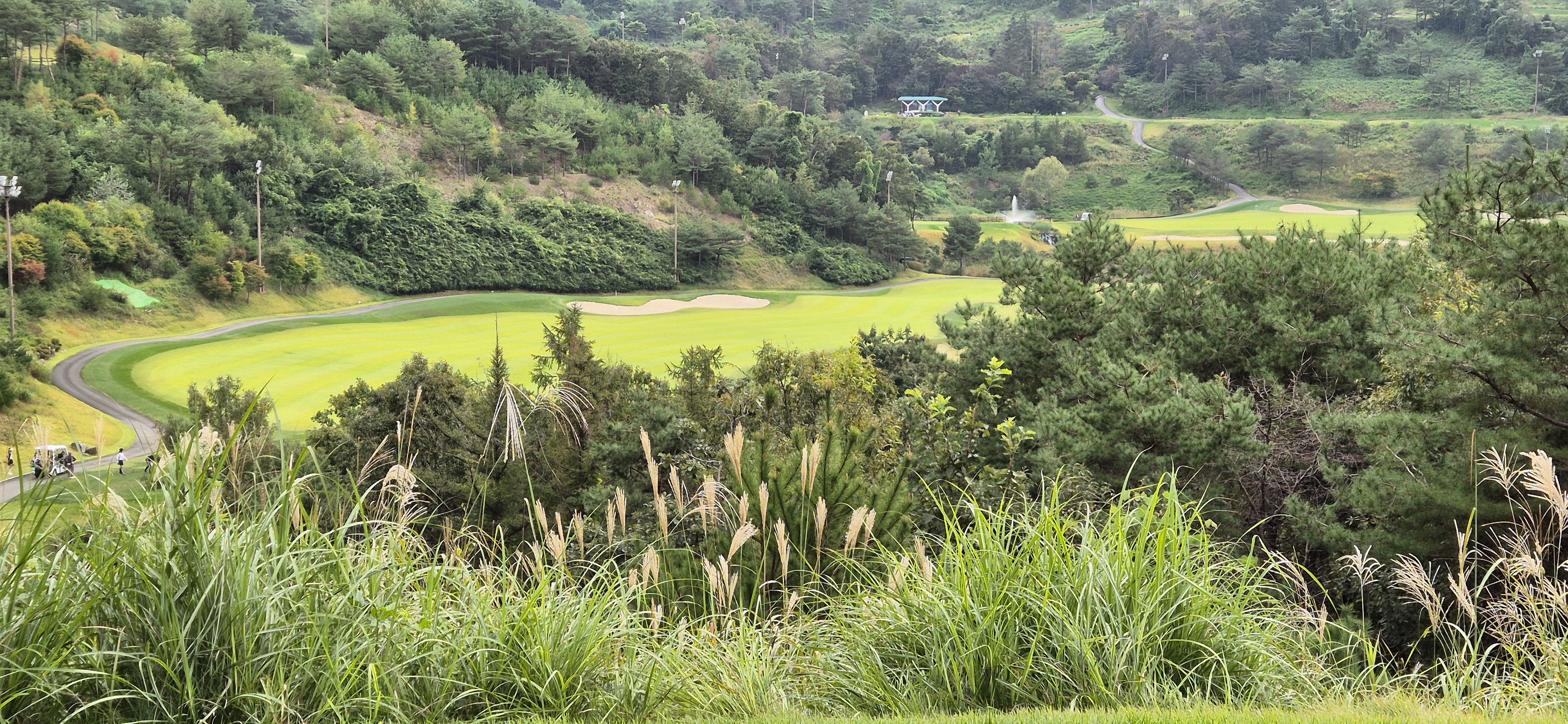 소노펠리체cc이스트