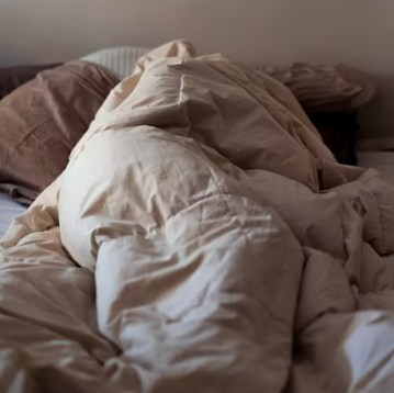 당귀 효능 부작용 뿌리 고르는법