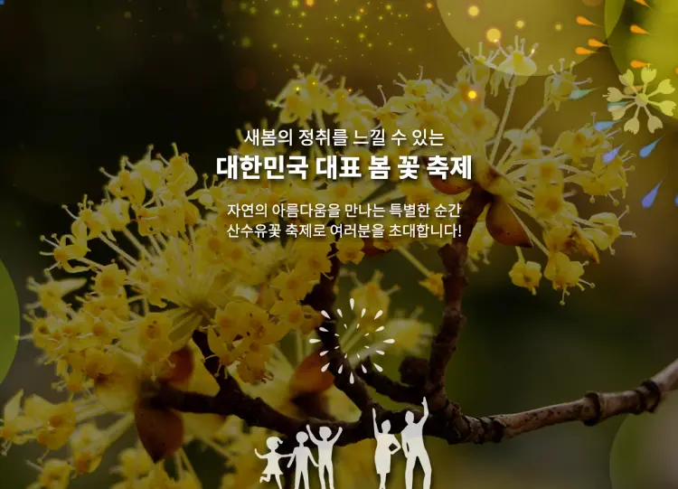구례 산수유 축제