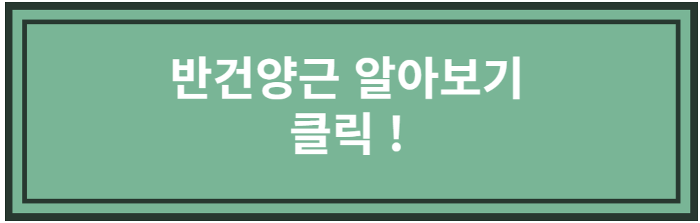 반건양근 알아보기