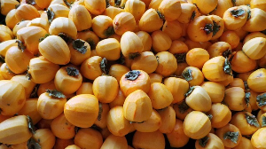 추석 선물세트 추천