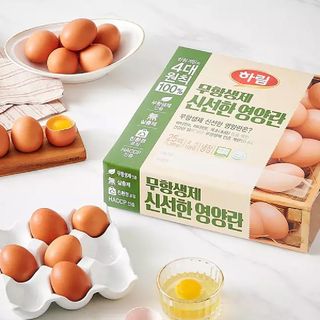 홈플러스 홈플런 전단 행사 쿠폰 혜택 총정리