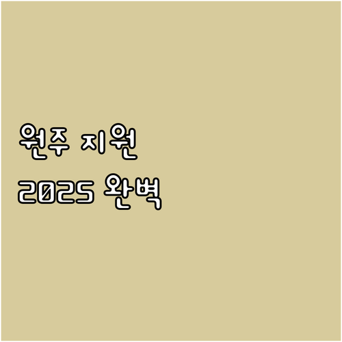 원주 문화예술 지원사업 2025 완벽..