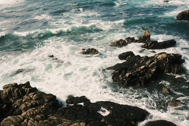 부산 사진