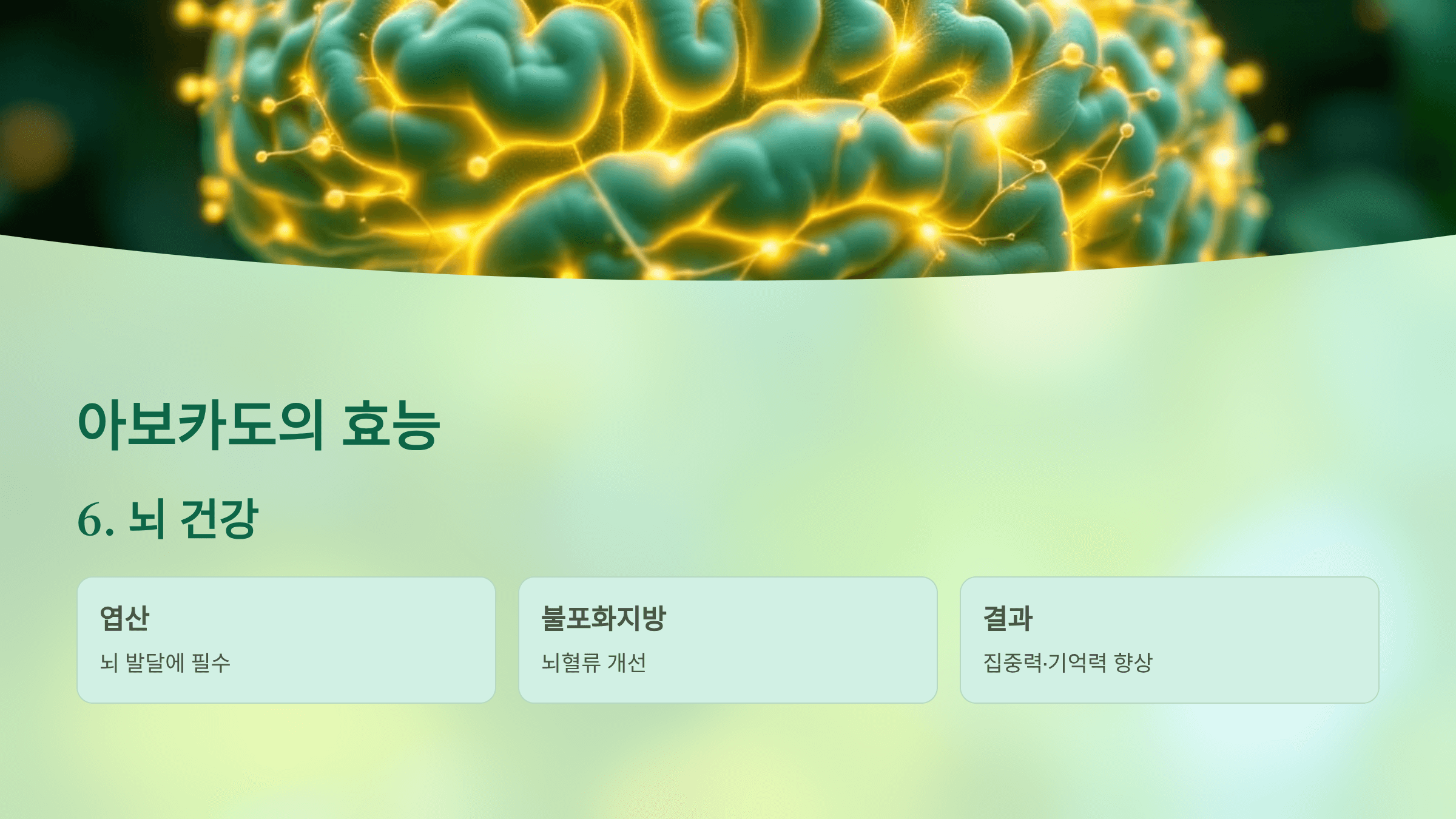 아보카도 사진입니다.
