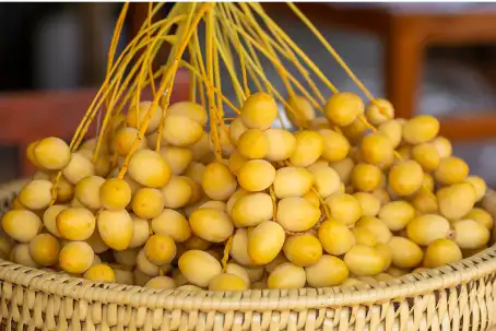 대추야자 효능효과 영양성분과 부작용