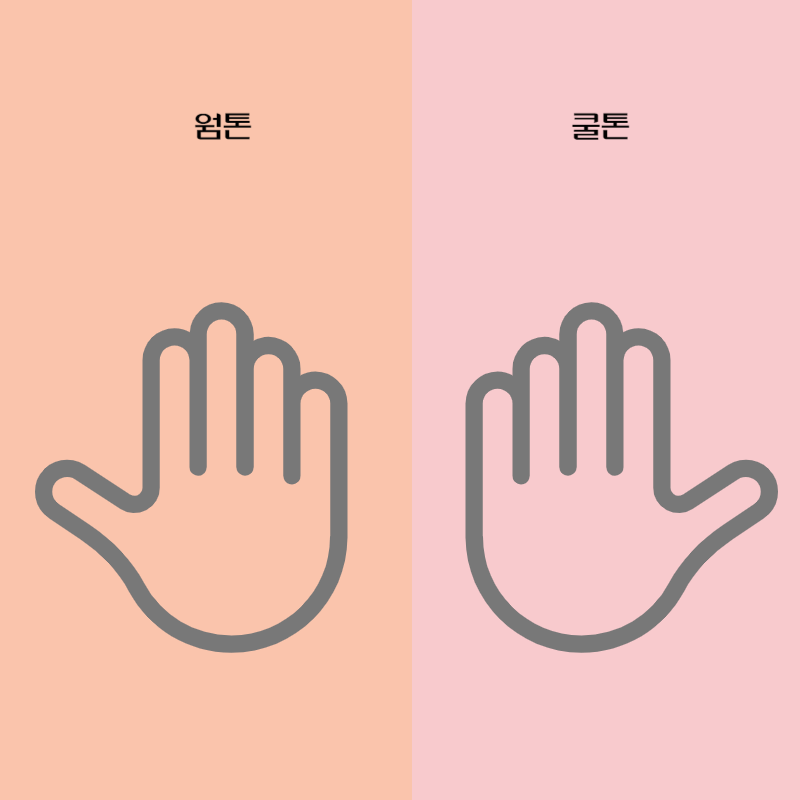웜톤쿨톤