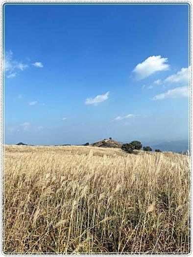 황매산-억새축제