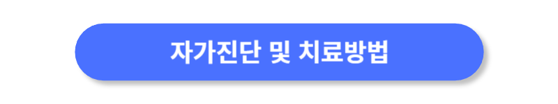버튼