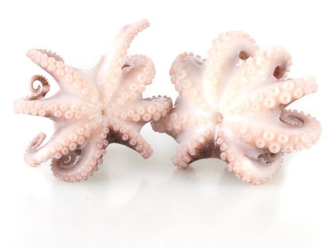 쭈꾸미는 타우린이 많아요