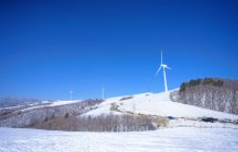 평창-가볼만한곳