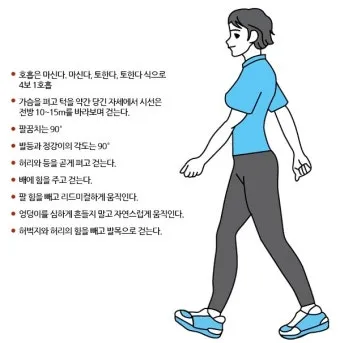 걷기운동 효과 좋은점 놀라운 효능 방법_11