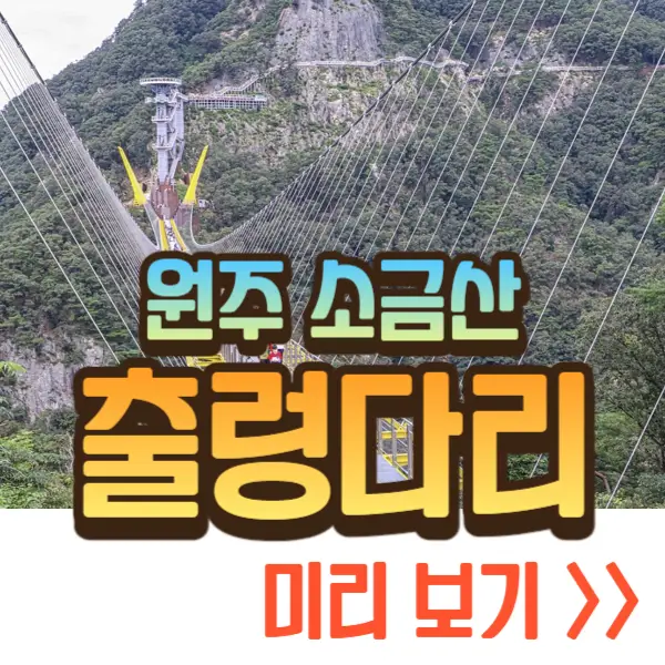 소금산 출렁다리