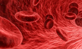 2024-건강검진-대상자-조회방법-검사-항목