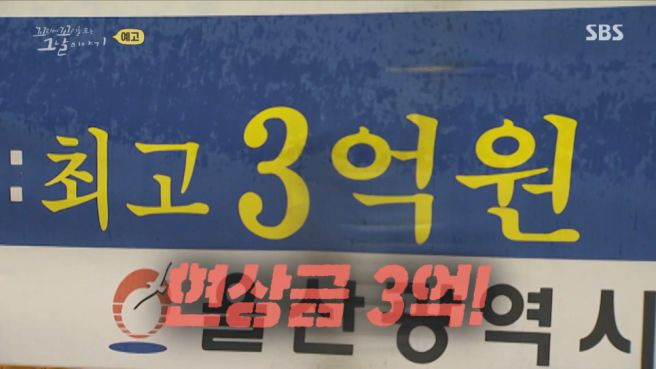 꼬꼬무 봉대산 불다람쥐