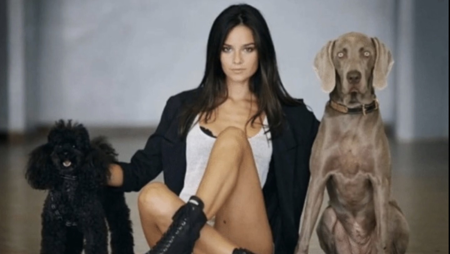 송중기 여친 임신 가능설