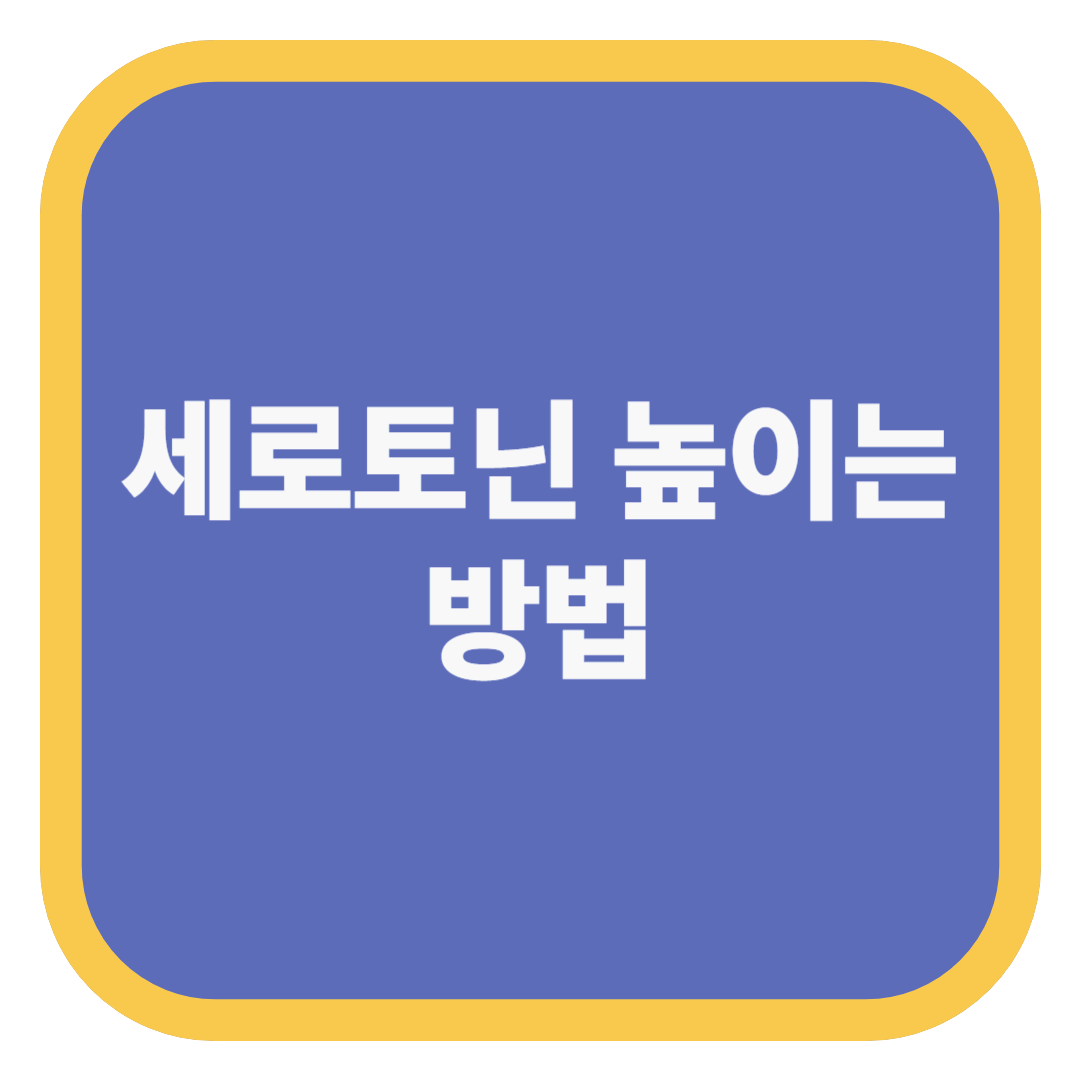 세로토닌 높이는 방법