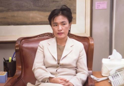 강금실 정치 경력